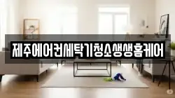 제주에어컨세탁기청소생생홈케어