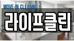 라이프클린