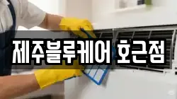 제주블루케어 호근점