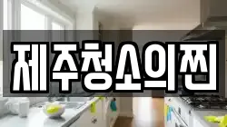 제주청소의찐