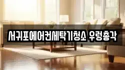 제주 서귀포시 표선면 청소,입주청소,사무실청소,에어컨청소,특수청소,상가청소,거주청소,유품정리