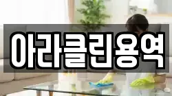 아라클린용역