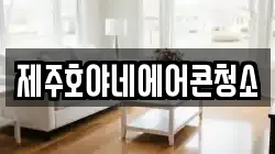 제주호야네에어콘청소