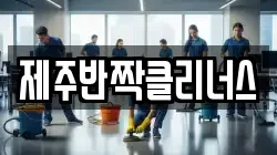 제주반짝클리너스