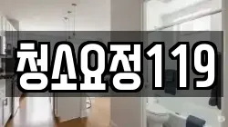청소요정119