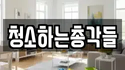 청소하는총각들