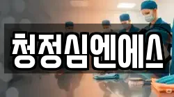 청정심엔에스