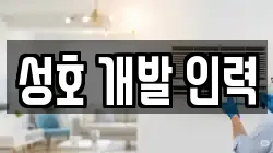 성호 개발 인력
