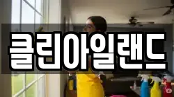 클린아일랜드