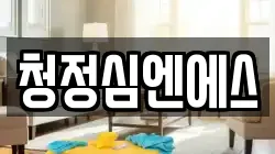 청정심엔에스