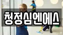 청정심엔에스