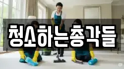 청소하는총각들