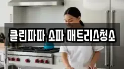제주 제주시 도평동 청소,입주청소,사무실청소,에어컨청소,특수청소,상가청소,거주청소,유품정리