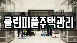 클린피플주택관리