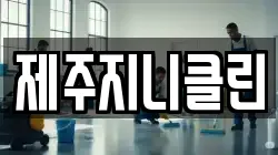 제주지니클린