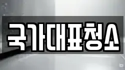 국가대표청소