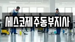세스코제주동부지사