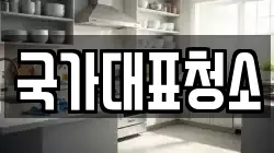 국가대표청소