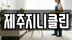 제주지니클린