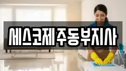 제주 제주시 오등동 청소,입주청소,사무실청소,에어컨청소,특수청소,상가청소,거주청소,유품정리