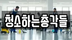 청소하는총각들