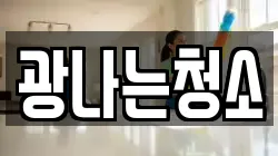 광나는청소