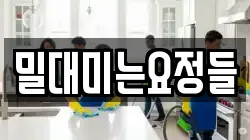 밀대미는요정들