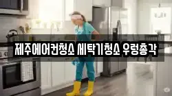 제주에어컨청소 세탁기청소 우렁총각