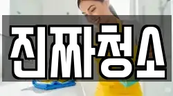 진짜청소