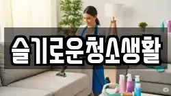 슬기로운청소생활