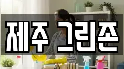 제주 그린존