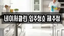 네이처클린 입주청소 제주점