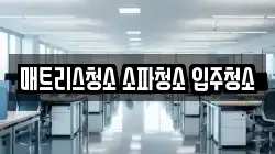 매트리스청소 소파청소 입주청소