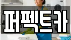 퍼펙트카