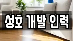 성호 개발 인력