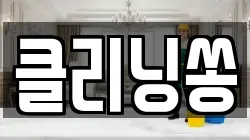 클리닝쏭