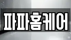 파파홈케어