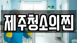 제주청소의찐