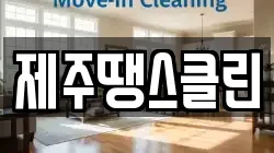 제주땡스클린