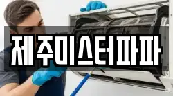 제주미스터파파