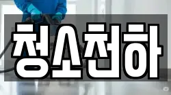 청소천하