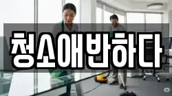 청소애반하다