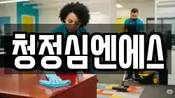 청정심엔에스