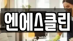 엔에스클린