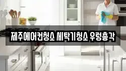 제주에어컨청소 세탁기청소 우렁총각