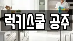 럭키스쿨 공주