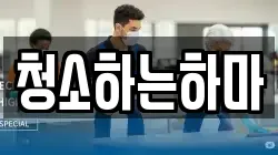 청소하는하마
