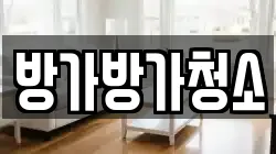 방가방가청소