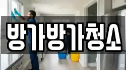 방가방가청소