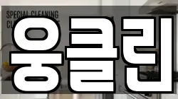 웅클린
